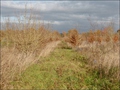 vente,achat,maison,propriete,rurale,agricole,ferme,terre,etang,exploitation,cheptel,dependances,ecovillage,bois,chasse,pays loire,angers,cholet,saumur,49,cabinet immobilier,agence immobiliere,propriete,vente chateau,belle demeure,chateau a vendre,maison d