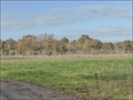 vente,achat,maison,propriete,rurale,agricole,ferme,terre,etang,exploitation,cheptel,dependances,ecovillage,bois,chasse,pays loire,angers,cholet,saumur,49,cabinet immobilier,agence immobiliere,propriete,vente chateau,belle demeure,chateau a vendre,maison d