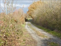 vente,achat,maison,propriete,rurale,agricole,ferme,terre,etang,exploitation,cheptel,dependances,ecovillage,bois,chasse,pays loire,angers,cholet,saumur,49,cabinet immobilier,agence immobiliere,propriete,vente chateau,belle demeure,chateau a vendre,maison d