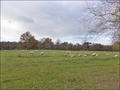 vente,achat,maison,propriete,rurale,agricole,ferme,terre,etang,exploitation,cheptel,dependances,ecovillage,bois,chasse,pays loire,angers,cholet,saumur,49,cabinet immobilier,agence immobiliere,propriete,vente chateau,belle demeure,chateau a vendre,maison d