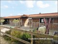 vente,achat,a vendre,maison,piscine interieure,piscine couverte,propriete equestre,hectare,la roche sur yon,85000,vendee,85,les sables d'olonne,nantes,les lucs sur boulogne,challans,rocheserviere,cabinet immobilier,agence immobiliere,expert immobilier,pro