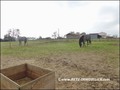 vente,achat,a vendre,maison,piscine interieure,piscine couverte,propriete equestre,hectare,la roche sur yon,85000,vendee,85,les sables d'olonne,nantes,les lucs sur boulogne,challans,rocheserviere,cabinet immobilier,agence immobiliere,expert immobilier,pro