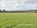 vente,achat,a vendre,maison,piscine interieure,piscine couverte,propriete equestre,hectare,la roche sur yon,85000,vendee,85,les sables d'olonne,nantes,les lucs sur boulogne,challans,rocheserviere,cabinet immobilier,agence immobiliere,expert immobilier,pro