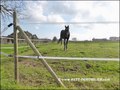 vente,achat,a vendre,maison,piscine interieure,piscine couverte,propriete equestre,hectare,la roche sur yon,85000,vendee,85,les sables d'olonne,nantes,les lucs sur boulogne,challans,rocheserviere,cabinet immobilier,agence immobiliere,expert immobilier,pro