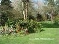 vente,achat,a vendre,maison,maison caractere,longere,piscine,propriete,penestin,pont-mahe,pen-be,herbignac,asserac,saint molf,camoel,ferel,cabinet immobilier,agence immobiliere,loire atlantique,44,vendee,85,morbihan,56,expert immobilier,propriete,vente ch