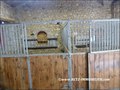 vente,achat,a vendre,maison,propriete,a renover,dependance,potentiel,caractere,piscine,propriete equestre,hectare,la roche sur yon,85000,vendee,85,challans,les lucs sur boulogne,rocheserviere,lege,nantes,cabinet immobilier,agence immobiliere,expert immobi