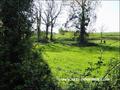 vente,achat,a vendre,maison,propriete,a renover,dependance,potentiel,caractere,piscine,propriete equestre,hectare,la roche sur yon,85000,vendee,85,challans,les lucs sur boulogne,rocheserviere,lege,nantes,cabinet immobilier,agence immobiliere,expert immobi