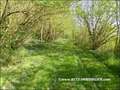 vente,achat,a vendre,maison,propriete,a renover,dependance,potentiel,caractere,piscine,propriete equestre,hectare,la roche sur yon,85000,vendee,85,challans,les lucs sur boulogne,rocheserviere,lege,nantes,cabinet immobilier,agence immobiliere,expert immobi