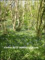 vente,achat,a vendre,maison,propriete,a renover,dependance,potentiel,caractere,piscine,propriete equestre,hectare,la roche sur yon,85000,vendee,85,challans,les lucs sur boulogne,rocheserviere,lege,nantes,cabinet immobilier,agence immobiliere,expert immobi