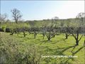 vente,achat,a vendre,maison,propriete,a renover,dependance,potentiel,caractere,piscine,propriete equestre,hectare,la roche sur yon,85000,vendee,85,challans,les lucs sur boulogne,rocheserviere,lege,nantes,cabinet immobilier,agence immobiliere,expert immobi