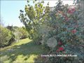 vente,achat,a vendre,maison,villa,golf les sables d'olonne,sables olonne,olonne sur mer,maison parcours golf,maison a vendre sur golf,belle demeure,85100,85340,cabinet immobilier,agence immobiliere,loire atlantique,44,vendee,85,morbihan,56,expert immobili