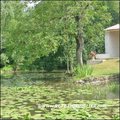 maison, belle demeure, maison pierre, maison riviere, piscine interieure, piscine chaufee, piscine couverte, propriete, caractere, renove, moulin, logis, longere, calme, riviere, etang, vendee, 85, mareuil sur lay, 85320, french property for sale, pool, r