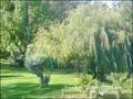 maison, belle demeure, maison pierre, maison riviere, piscine interieure, piscine chaufee, piscine couverte, propriete, caractere, renove, moulin, logis, longere, calme, riviere, etang, vendee, 85, mareuil sur lay, 85320, french property for sale, pool, r