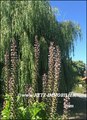 vente,achat,a vendre,maison,village,campagne,b&b,chambres d'hotes,maison d hote a vendre,maison chambre d hote a vendre, st pere en retz,frossay,saint brevin, pornic,nantes,44320,44210,44250,44000,cabinet immobilier,agence immobiliere,loire atlantique,44,