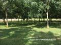 maison, charme, belle demeure, propriete, caractere, campagne, hectare, vendee, 85, a vendre, french property, for sale, france, agence immobiliere