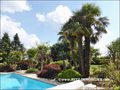 vente,achat,a vendre,maison,maison de caractere,maison de charme,maison avec piscine,propriete,maison en pierre apparente,maison ancienne,chambre d hote,b&b,les herbiers,85500,pouzauges,85700,le boupere,85510,vendee,les epesses,85590,puy du fou,cabinet im