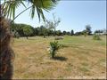 vente,achat,a vendre,maison de caractere,propriete de caractere,maison hectare,propriete coueron,44220,propriete saint etienne de montluc,44360,propriete nantes,44,hectare,piscine,dependances,cabinet immobilier,agence immobiliere,expert immobilier,proprie