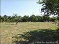 vente,achat,a vendre,maison de caractere,propriete de caractere,maison hectare,propriete coueron,44220,propriete saint etienne de montluc,44360,propriete nantes,44,hectare,piscine,dependances,cabinet immobilier,agence immobiliere,expert immobilier,proprie