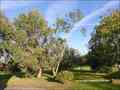 propriete a vendre vendee, propriete a vendre 85, maison hectare, belle demeure, maison caractere vendee, propriete caractere vendee, maison de charme, immobilier caractere vendee, vente propriete, vente demeure, chateau, manoir, logis vendéen