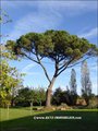 propriete a vendre vendee, propriete a vendre 85, maison hectare, belle demeure, maison caractere vendee, propriete caractere vendee, maison de charme, immobilier caractere vendee, vente propriete, vente demeure, chateau, manoir, logis vendéen