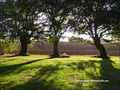 propriete a vendre vendee, propriete a vendre 85, maison hectare, belle demeure, maison caractere vendee, propriete caractere vendee, maison de charme, immobilier caractere vendee, vente propriete, vente demeure, chateau, manoir, logis vendéen