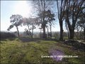 vente chateau manoir propriete caractere hectare a vendre agence immobiliere prestige nantes pornic la baule pays retz 44 loire atlantique vendee 85 pays de la loire bretagne morbihan 56 maison belle demeure propriete rurale