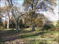 vente chateau manoir propriete caractere hectare a vendre agence immobiliere prestige nantes pornic la baule pays retz 44 loire atlantique vendee 85 pays de la loire bretagne morbihan 56 maison belle demeure propriete rurale