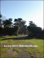 vente chateau manoir propriete caractere hectare a vendre agence immobiliere prestige nantes pornic la baule pays retz 44 loire atlantique vendee 85 pays de la loire bretagne morbihan 56 maison belle demeure propriete rurale