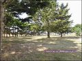 a vendre,vente,achat,propriete,batiment,grange,investissement,loft,a amenager,a renover,salle,reception,restaurant,surface commerciale,littoral,atlantique,44,loire atlantique,85,vendee,pornic,challans,nantes,bourgneuf en retz, agence immobiliere,potentiel