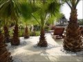 vente,achat,a vendre,maison,villa,maison exception,maison prestige,luxe,maison caractere,challans,85300,sallertaine,saint gervais,beauvoir sur mer,noirmoutier,la barre de monts,cabinet immobilier,agence immobiliere,loire atlantique,44,vendee,85,morbihan,5
