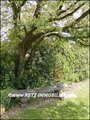 vente,achat,a vendre,maison,villa,maison exception,maison prestige,luxe,maison caractere,challans,85300,sallertaine,saint gervais,beauvoir sur mer,noirmoutier,la barre de monts,cabinet immobilier,agence immobiliere,loire atlantique,44,vendee,85,morbihan,5
