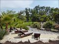 vente,achat,a vendre,maison,villa,maison exception,maison prestige,luxe,maison caractere,challans,85300,sallertaine,saint gervais,beauvoir sur mer,noirmoutier,la barre de monts,cabinet immobilier,agence immobiliere,loire atlantique,44,vendee,85,morbihan,5