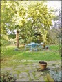 vente, maison ancienne, maison pierre, maison caractere, maison charme, maison bourgeoise, belle demeure, maison ville, a vendre, savenay, 44260, pontchateau, 44160, loire atlantique, 44, agence immobilier caractere, agence prestige, nantes, la baule, 56