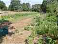 vente,maison,achat,a vendre,maison a vendre,ferme,propriete,hectare,campagne,dependance,potager,permaculture,la ferriere,85280,dompierre sur yon,85170,la roche sur yon,85000,cabinet immobilier,agence immobiliere,loire atlantique,44,vendee,85,morbihan,56,e