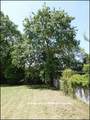 vente,maison,achat,a vendre,maison a vendre,ferme,propriete,hectare,campagne,dependance,saint pere en retz,frossay,saint brevin, pornic,nantes,44320,44210,44250,44000,cabinet immobilier,agence immobiliere,loire atlantique,44,vendee,85,morbihan,56,expert i
