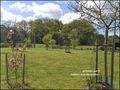 vente,maison,achat,a vendre,maison a vendre,propriete a vendre,grange,dependance,propriete equestre,ferme,maison de caractere,maison hectare,hectare,challans,85300,sallertaine,la garnache,85710,cabinet immobilier,agence immobiliere,loire atlantique,vendée