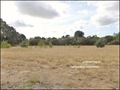 vente,maison,achat,a vendre,maison a vendre,propriete a vendre,grange,dependance,propriete equestre,ferme,maison de caractere,maison hectare,hectare,challans,85300,sallertaine,la garnache,85710,cabinet immobilier,agence immobiliere,loire atlantique,vendée