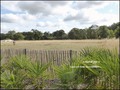 vente,maison,achat,a vendre,maison a vendre,propriete a vendre,grange,dependance,propriete equestre,ferme,maison de caractere,maison hectare,hectare,challans,85300,sallertaine,la garnache,85710,cabinet immobilier,agence immobiliere,loire atlantique,vendée