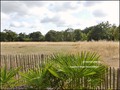 vente,maison,achat,a vendre,maison a vendre,propriete a vendre,grange,dependance,propriete equestre,ferme,maison de caractere,maison hectare,hectare,challans,85300,sallertaine,la garnache,85710,cabinet immobilier,agence immobiliere,loire atlantique,vendée