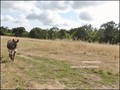 vente,maison,achat,a vendre,maison a vendre,propriete a vendre,grange,dependance,propriete equestre,ferme,maison de caractere,maison hectare,hectare,challans,85300,sallertaine,la garnache,85710,cabinet immobilier,agence immobiliere,loire atlantique,vendée