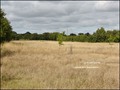 vente,maison,achat,a vendre,maison a vendre,propriete a vendre,grange,dependance,propriete equestre,ferme,maison de caractere,maison hectare,hectare,challans,85300,sallertaine,la garnache,85710,cabinet immobilier,agence immobiliere,loire atlantique,vendée