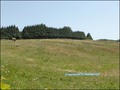 vente,maison,achat,a vendre,propriete a vendre,chambre d'hote a vendre,gite a vendre,b&b,chambre hote,propriete equestre,maison de caractere,maison hectare,hectare,puy du fou,les epesses,85590,les herbiers,85500,la verrie,chambretaud,chanverrie,85130,sain