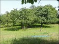 vente,maison,achat,a vendre,propriete a vendre,chambre d'hote a vendre,gite a vendre,b&b,chambre hote,propriete equestre,maison de caractere,maison hectare,hectare,puy du fou,les epesses,85590,les herbiers,85500,la verrie,chambretaud,chanverrie,85130,sain