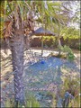 vente,achat,a vendre,maison,maison piscine,plain pied,longere,maison à vendre avec piscine pornic,pornic,44210,cote de jade,arthon en retz,44320,saint pere en retz,44320,le clion sur mer,bourgneuf en retz,44580,la bernerie en retz,44760,fresnay en retz,ma