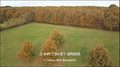 Maison hectare a vendre, maison bois a vendre, propriete equestre a vendre, propriete hectare, maison gite a vendre, maison chambre hote a vendre, nantes, chateaubriant, blain, derval, loire atlantique, rennes, bain de bretagne, 44, 35, propriete rurale, 