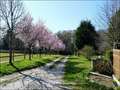 Maison hectare a vendre, maison bois a vendre, propriete equestre a vendre, propriete hectare, maison gite a vendre, maison chambre hote a vendre, nantes, chateaubriant, blain, derval, loire atlantique, rennes, bain de bretagne, 44, 35, propriete rurale, 