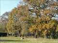 Maison hectare a vendre, maison bois a vendre, propriete equestre a vendre, propriete hectare, maison gite a vendre, maison chambre hote a vendre, nantes, chateaubriant, blain, derval, loire atlantique, rennes, bain de bretagne, 44, 35, propriete rurale, 