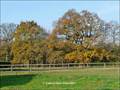 Maison hectare a vendre, maison bois a vendre, propriete equestre a vendre, propriete hectare, maison gite a vendre, maison chambre hote a vendre, nantes, chateaubriant, blain, derval, loire atlantique, rennes, bain de bretagne, 44, 35, propriete rurale, 
