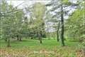 Maison hectare a vendre, maison bois a vendre, propriete equestre a vendre, propriete hectare, maison gite a vendre, maison chambre hote a vendre, nantes, chateaubriant, blain, derval, loire atlantique, rennes, bain de bretagne, 44, 35, propriete rurale, 