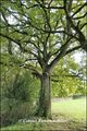 Maison hectare a vendre, maison bois a vendre, propriete equestre a vendre, propriete hectare, maison gite a vendre, maison chambre hote a vendre, nantes, chateaubriant, blain, derval, loire atlantique, rennes, bain de bretagne, 44, 35, propriete rurale, 